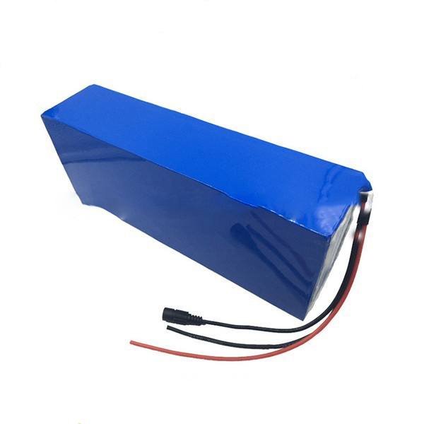 48v Electric Tricycle Battery Pack